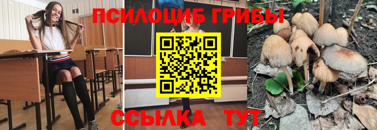 наркота  Галлюциногенные грибы MAGIC MUSHROOMS  Нарьян-Мар  Вход с VPN  Псилоцибиновые грибы Magic Shrooms 