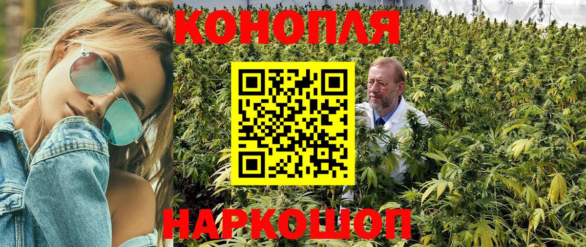 Каннабис конопля Нарьян-Мар